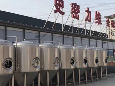 淄博精酿啤酒设备厂—如何判断精酿啤酒设备的密封件需要更换？